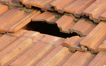 roof repair Malinslee, Shropshire